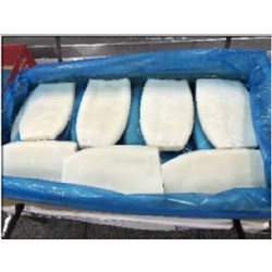 SQUID TUBES GIGAS SUPER TENDER U3 IMP 5KG # 1010300790 BLUE WAVE