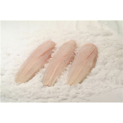 FISH HOKI FILLET SKINLESS 6/8OZ(175-225GM)6.8KG(3) AMALTAL
